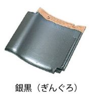 TSルーフ 53B／常備色