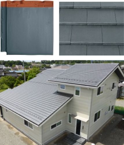 銀鱗（ギンリン）／スタンダードカラー